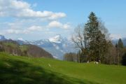 heimoeffnung21201002141824819687